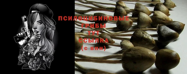 jwh Мегион